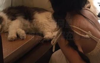在51吃瓜网黑料的复杂线路中，真相究竟埋藏在哪里？