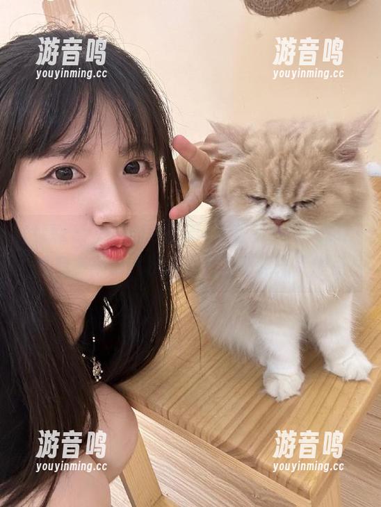 tttzzz “tttzzz.06”首页,今天忍不住想多刷新几次,看看能不能来点爆点