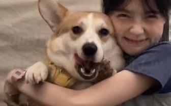 面对mmzztt.com的更新，我的好奇心又被调动了…
