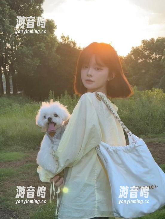 吃瓜网 吃瓜网不止是看瓜,安卓用户的失落网址导航宝典