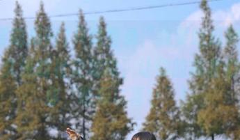 只需登录“我要吃瓜网”，收获久违的社交功能，让你的朋友们都为你‘吃瓜に喜び’！