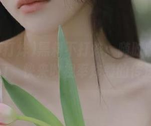 黑料不打烊：随时随地的黑料入口，快来收视率炸裂的传送门！
