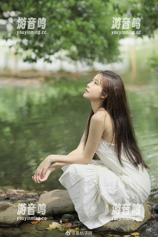 这是我意料不到的转折！“万篇长征黑料正能量”发布的猫本来只是散步，结果…