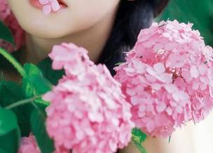 翻窗户看到“真相”？别慌，黑社料网址一大把秘闻等你探讨